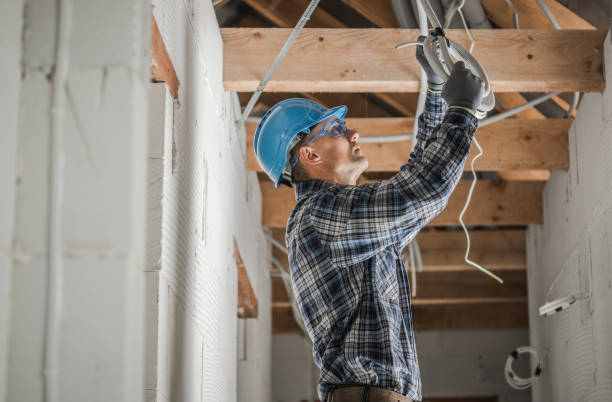 Best Local Electrician Companies  in Port Huron, MI