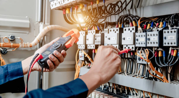 Best Residential Electrician Services  in Port Huron, MI
